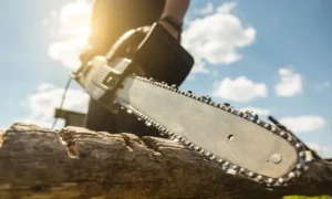 Read more about the article Essential Safety Practices for Operating Power Equipment