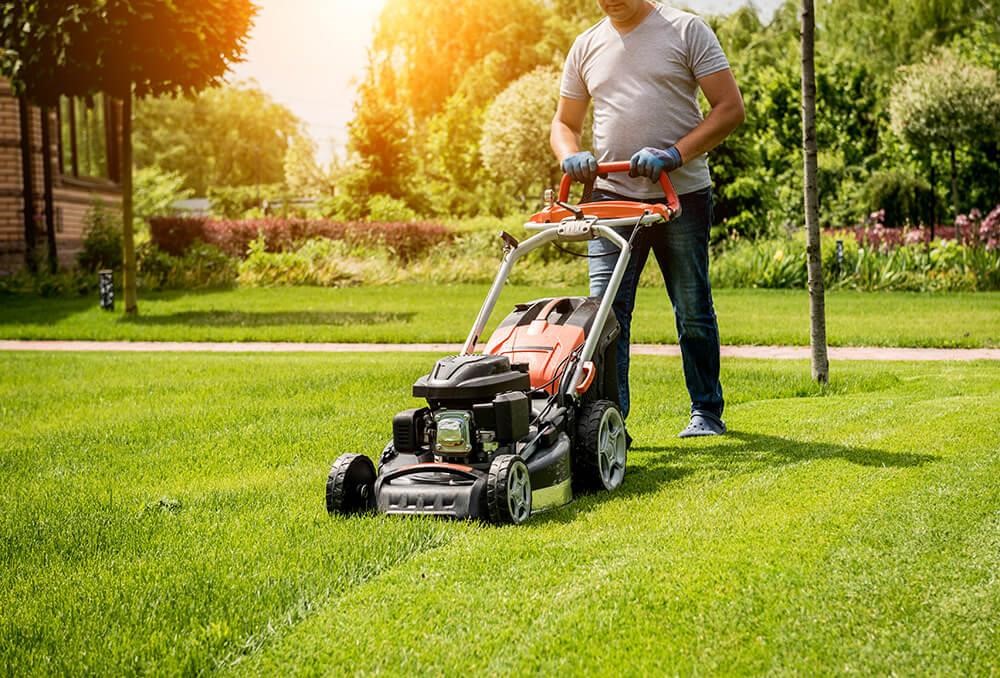 Read more about the article The Benefits of Choosing Used Lawn Equipment