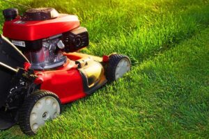 Read more about the article Buying the Right Lawn Mower