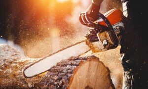 Read more about the article The Advantages of Financing Your Power Equipment Purchase